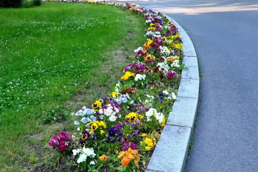 Benefits Of Installing Flower Bed Edging For Curb Appeal Bowman, SC Benefits Of Installing Flower Bed Edging For Curb Appeal Bowman, SC