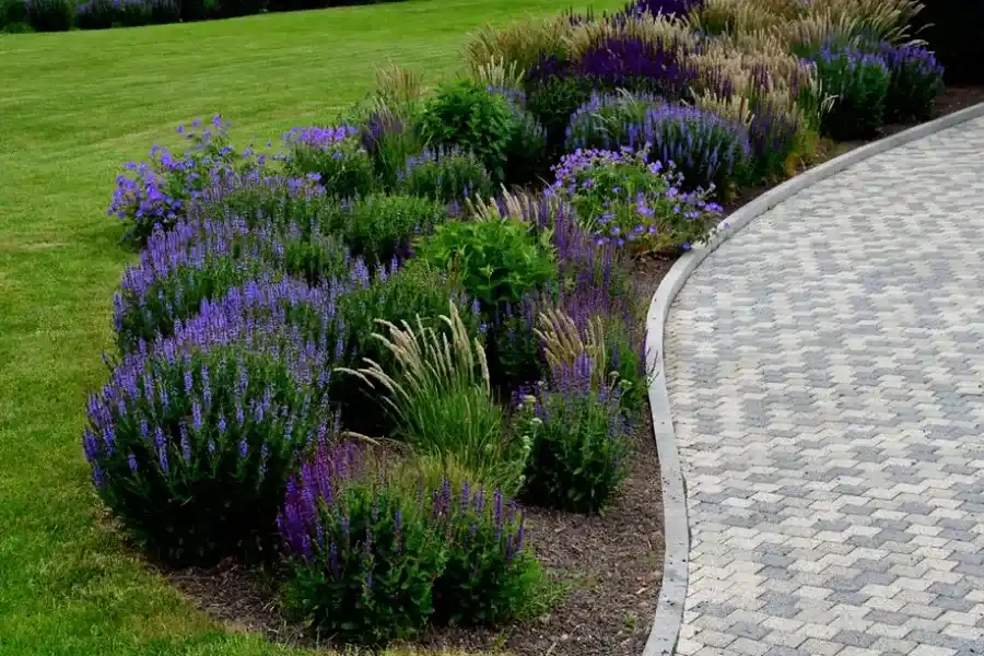 Benefits Of Installing Flower Bed Edging For Curb Appeal in Bowman, SC Benefits Of Installing Flower Bed Edging For Curb Appeal in Bowman, SC