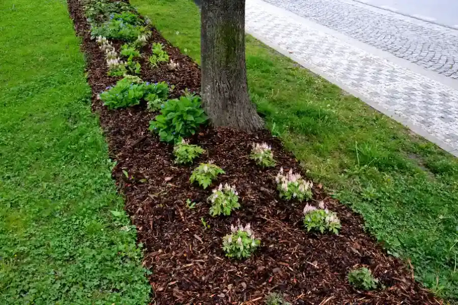 Excellent Mulching Bowman, SC Excellent Mulching Bowman, SC