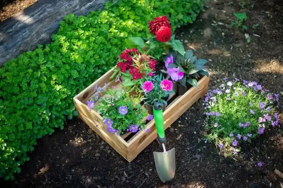 Experienced Flower Bed Edging Bowman, SC Experienced Flower Bed Edging Bowman, SC