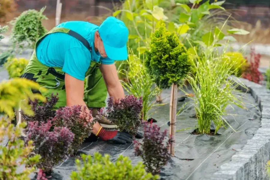 Expert Lawn Maintenance Bowman, SC Expert Lawn Maintenance Bowman, SC