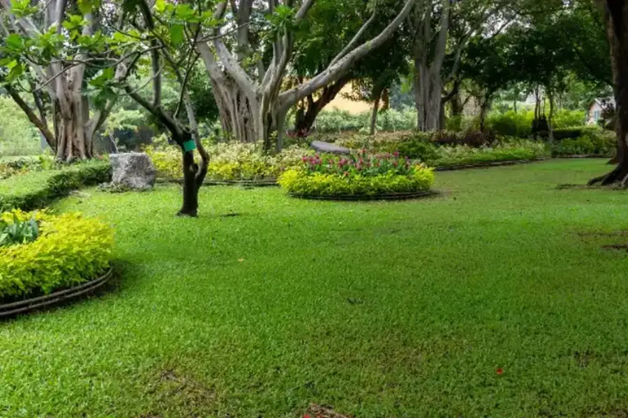 How Lawn Maintenance Keeps Your Yard Looking Fresh Bowman, SC How Lawn Maintenance Keeps Your Yard Looking Fresh Bowman, SC