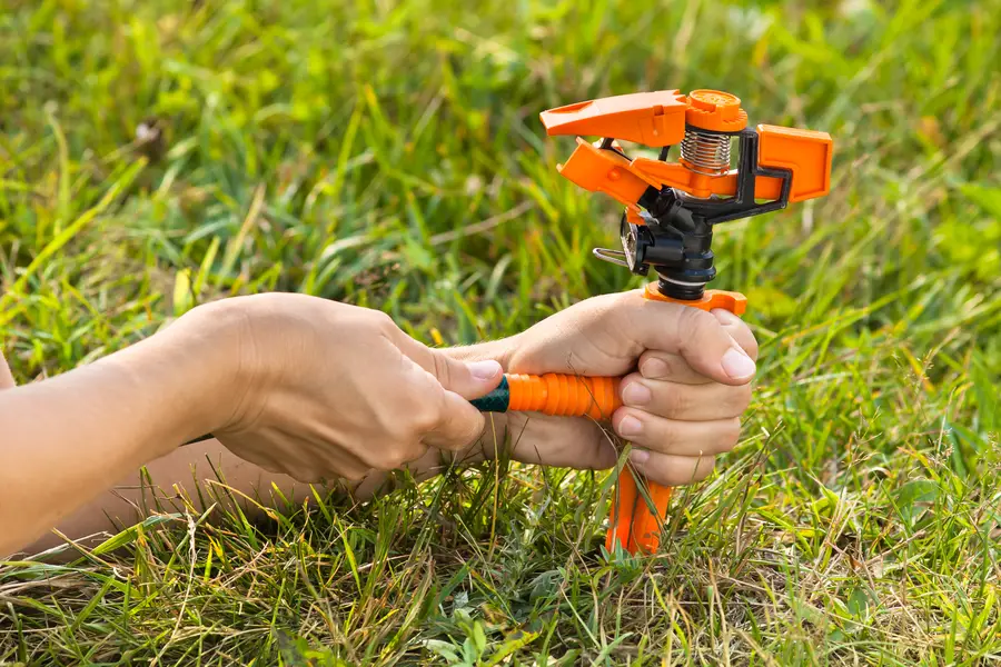 How Proper Irrigation Prevents Lawn Damage in Bowman, SC How Proper Irrigation Prevents Lawn Damage in Bowman, SC