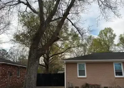 Landscape Company (2)