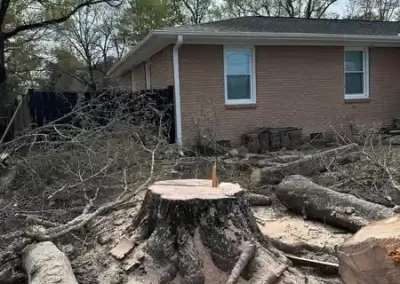 Landscape Company (3)