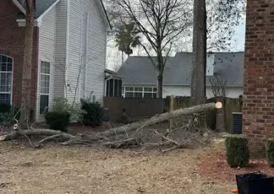 Landscape Company (4)