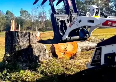 Landscape Company (5)