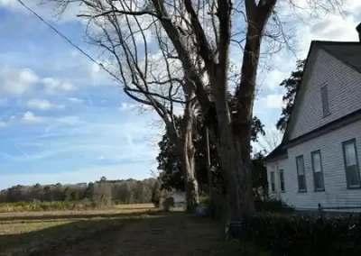 Landscape Maintenance (2)