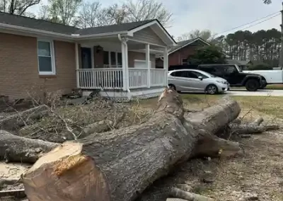 Landscape Maintenance (3)