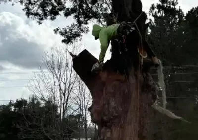Landscape Maintenance (6)