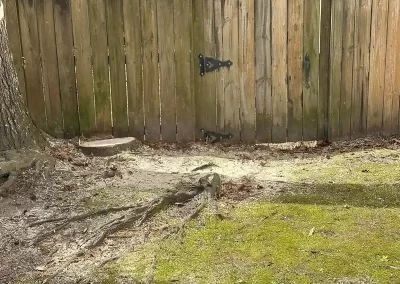 Landscape Services (2)