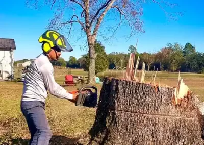 Landscape Services (3)