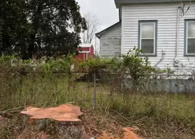 Landscaping Company (2)