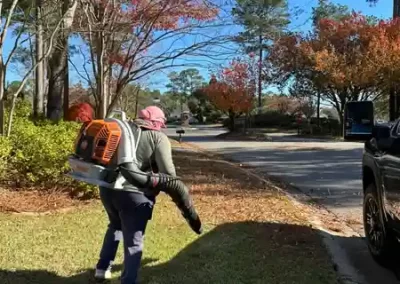 Landscaping Company
