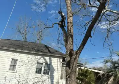 Landscaping Company (5)