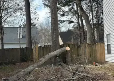 Landscaping Contractor (4)