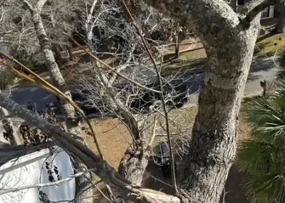 Landscaping Contractor