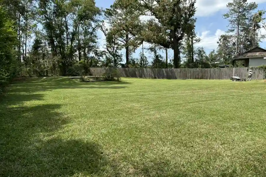 Reliable Lawn Maintenance Lawn Maintenance