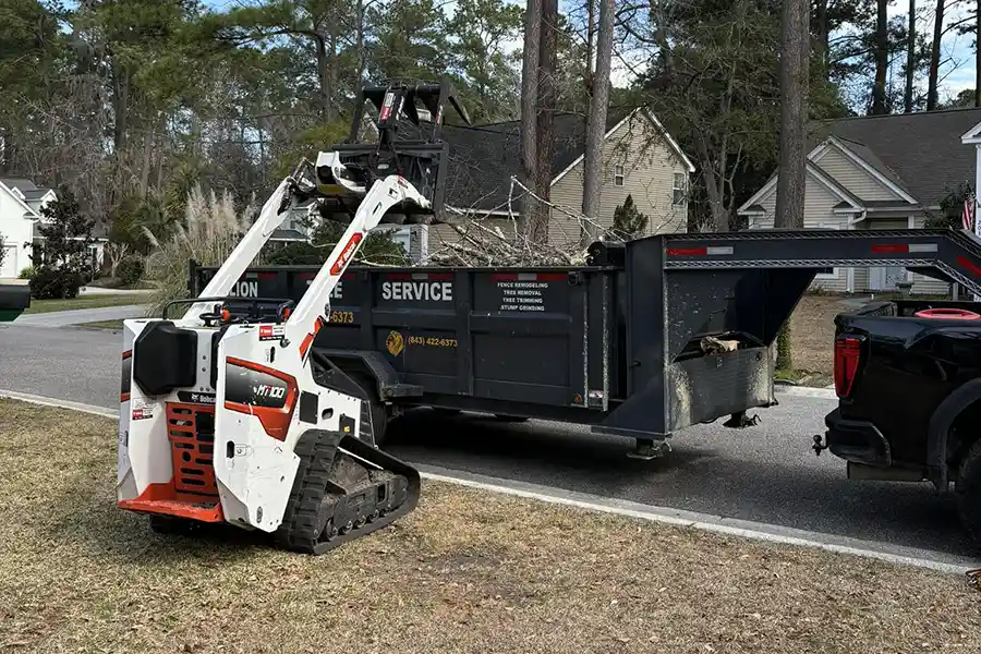 Reliable Lion Tree Service and Landscaping LLC's other services Lion Tree Service and Landscaping LLC's other services