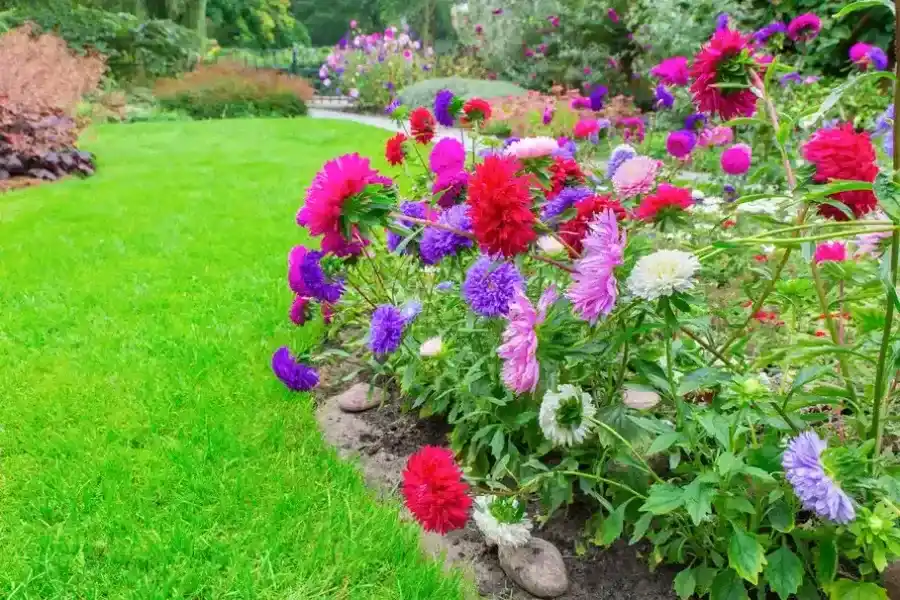 Local Flower Bed Edging Bowman, SC Local Flower Bed Edging Bowman, SC