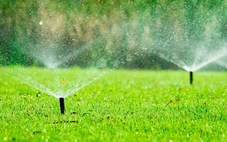 Reputable Irrigation Installation Bowman, SC