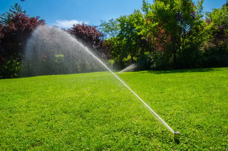 Signs Your Irrigation System Needs Maintenance in Bowman, SC Signs Your Irrigation System Needs Maintenance in Bowman, SC