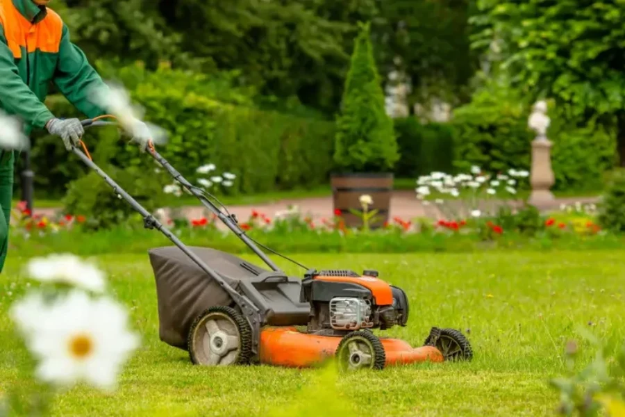 Superior Lawn Maintenance Bowman, SC Superior Lawn Maintenance Bowman, SC