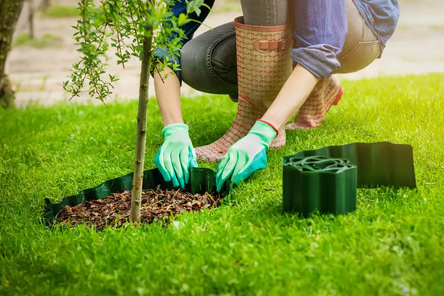 The Role Of Flower Bed Edging In Weed Prevention in Bowman, SC The Role Of Flower Bed Edging In Weed Prevention in Bowman, SC