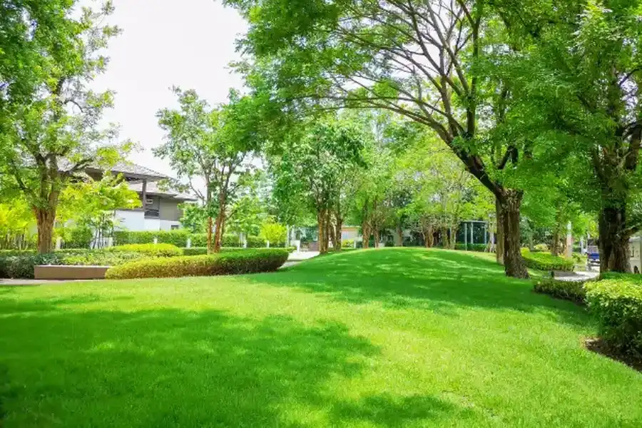 Tips For Effective Lawn Maintenance In Different Climates Bowman, SC Tips For Effective Lawn Maintenance In Different Climates Bowman, SC